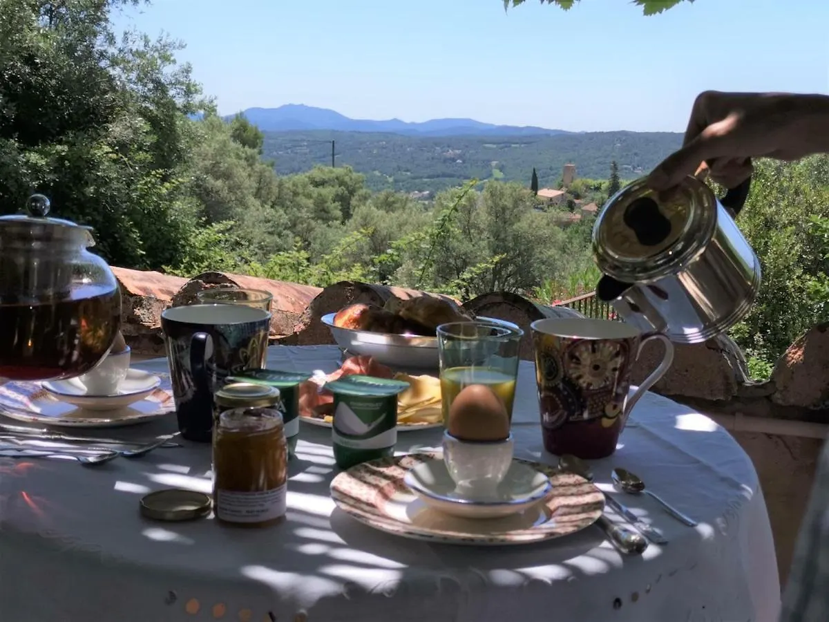 Le Nid Des Arts Bed & Breakfast Tourrettes 0*,  France